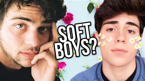 soft boy test|what are softboys.